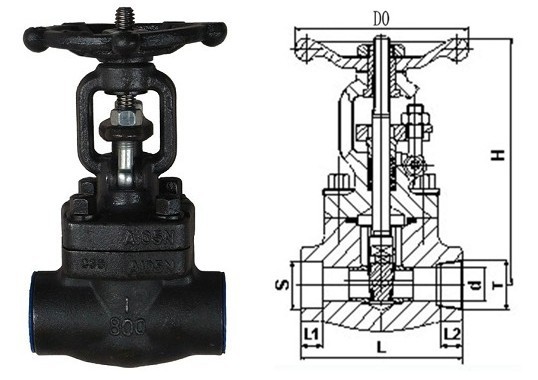 美标丝扣闸阀|Z11H-800LB 美标丝扣闸阀|Z11H-800LB